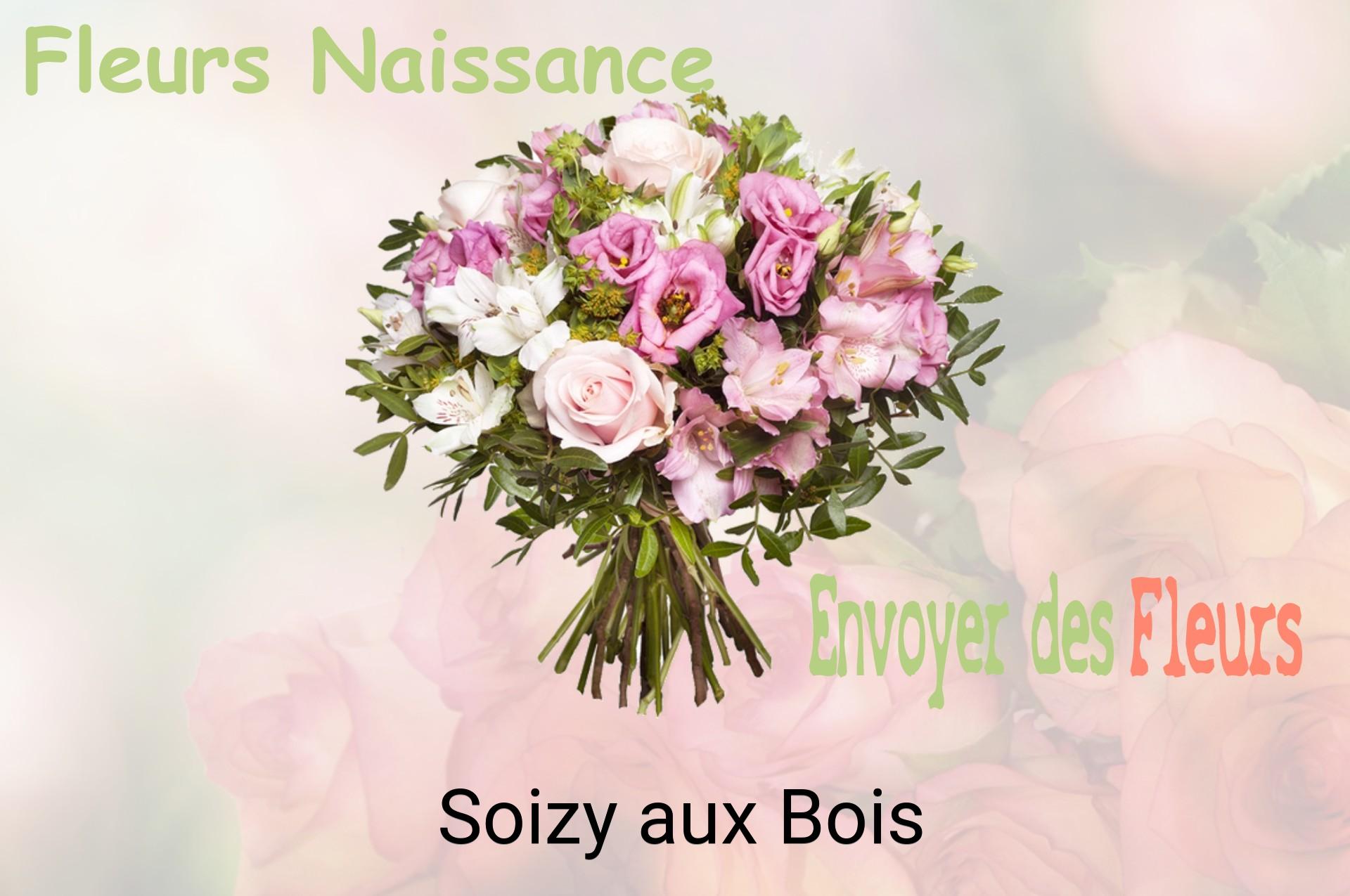 Bouquet de fleurs de naissance livré à Soizy-aux-Bois